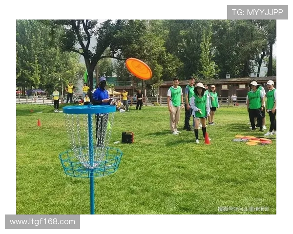 飞盘竞技的魅力与策略南京飞盘队阵地战全景揭秘
